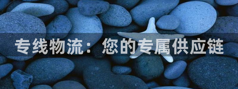 FH至尊官方入口