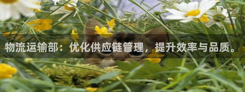 fh至尊版手机app