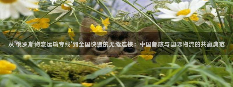 fh至尊手机端进不去