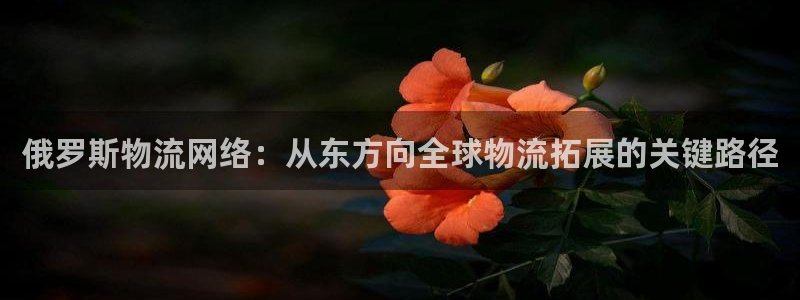 fh至尊平台下载