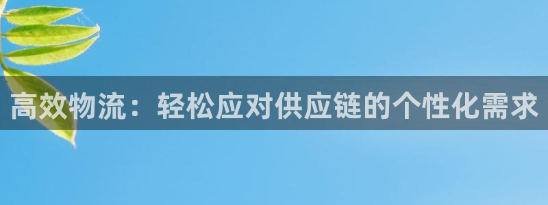 FH至尊属于哪里啊公司